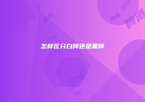 怎样区分白啤还是黑啤
