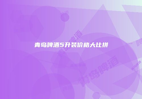 青岛啤酒5升装价格大比拼