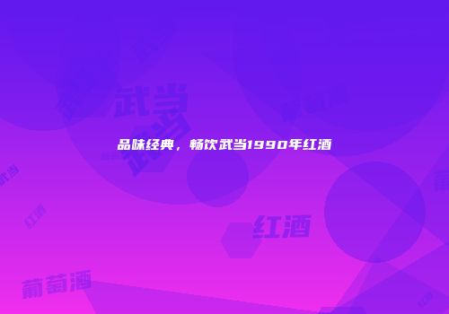 品味经典，畅饮武当1990年红酒