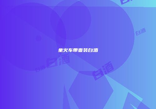 坐火车带壶装白酒