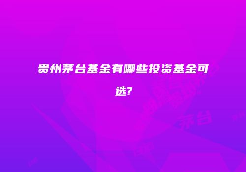贵州茅台基金有哪些投资基金可选?