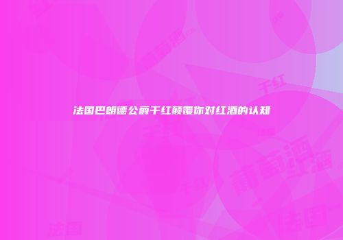 法国巴朗德公爵干红颠覆你对红酒的认知