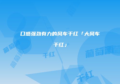口感强劲有力的风车干红「大风车干红」