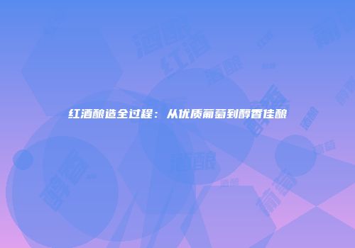 红酒酿造全过程：从优质葡萄到醇香佳酿