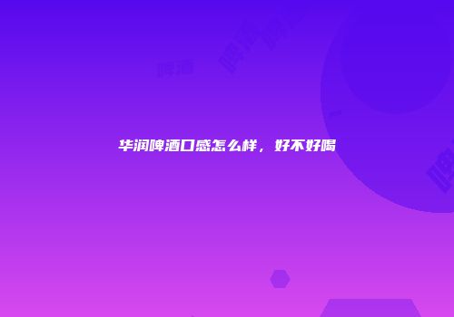 华润啤酒口感怎么样，好不好喝