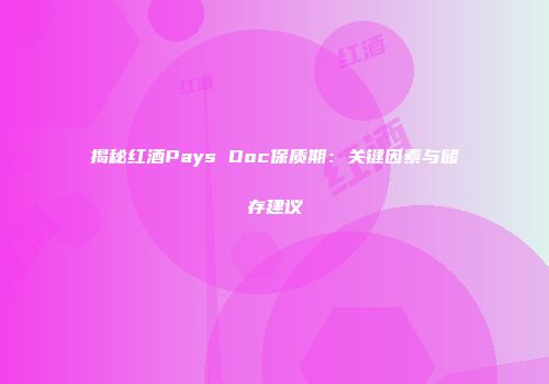 揭秘红酒Pays Doc保质期：关键因素与储存建议