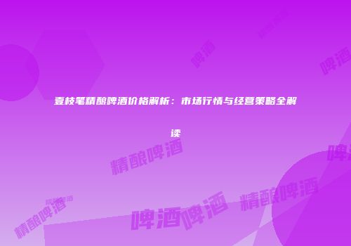 壹枝笔精酿啤酒价格解析：市场行情与经营策略全解读
