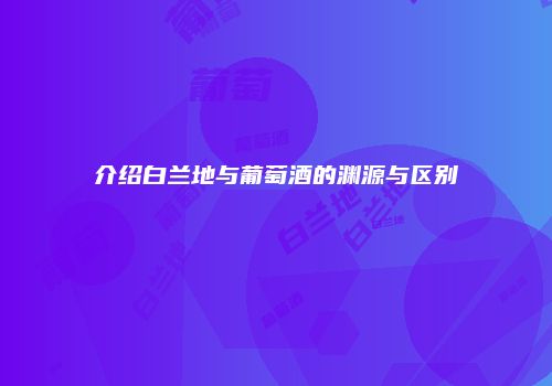 介绍白兰地与葡萄酒的渊源与区别