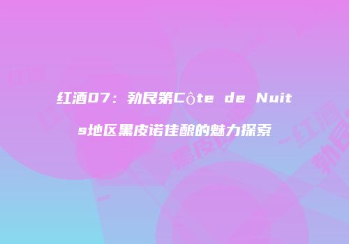 红酒07：勃艮第Côte de Nuits地区黑皮诺佳酿的魅力探索