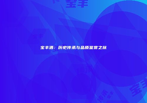 宝丰酒：历史传承与品质鉴赏之旅