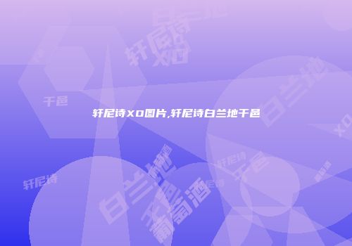 轩尼诗XO图片,轩尼诗白兰地干邑