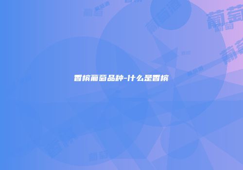 香槟葡萄品种-什么是香槟
