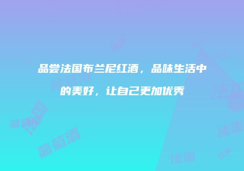 品尝法国布兰尼红酒，品味生活中的美好，让自己更加优秀