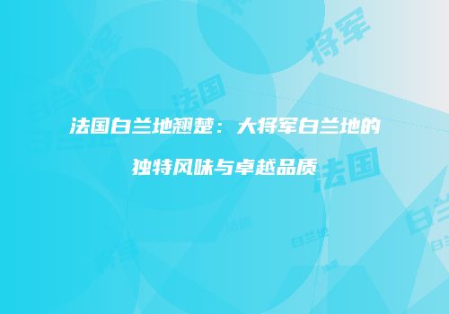 法国白兰地翘楚：大将军白兰地的独特风味与卓越品质