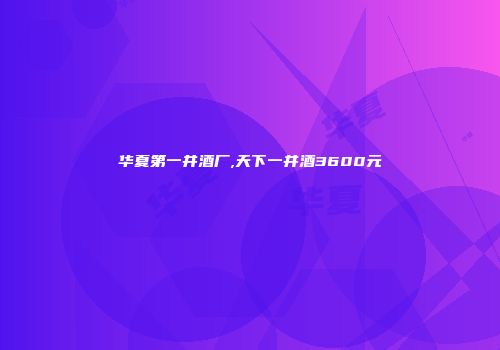 华夏第一井酒厂,天下一井酒3600元