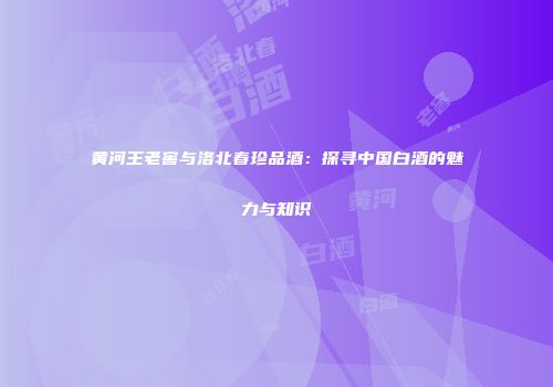 黄河王老窖与洛北春珍品酒：探寻中国白酒的魅力与知识