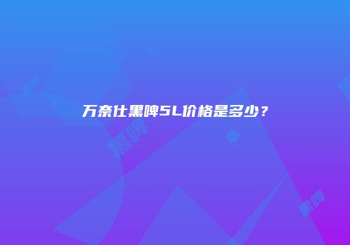 万奈仕黑啤5L价格是多少？