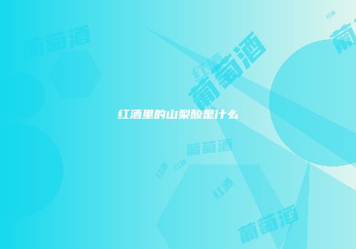 红酒里的山梨酸是什么