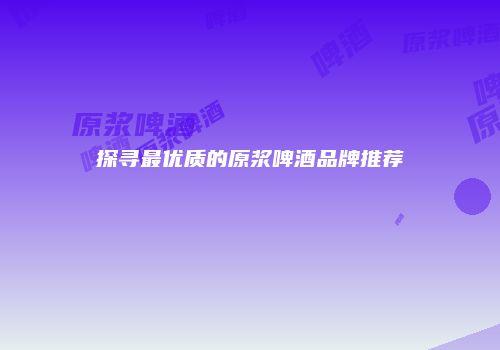 探寻最优质的原浆啤酒品牌推荐