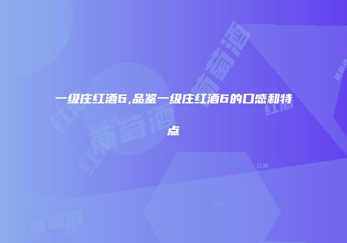 一级庄红酒6,品鉴一级庄红酒6的口感和特点