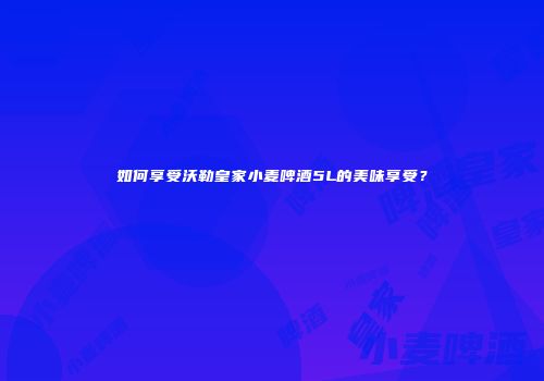 如何享受沃勒皇家小麦啤酒5L的美味享受？