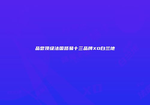品尝顶级法国路易十三品牌XO白兰地