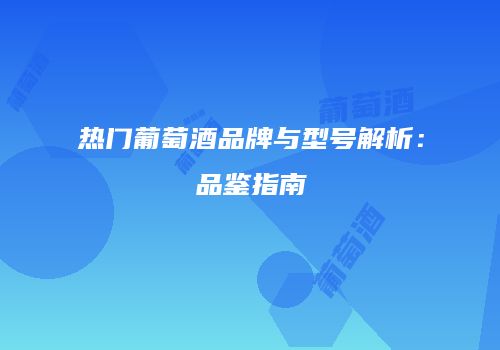 热门葡萄酒品牌与型号解析：品鉴指南