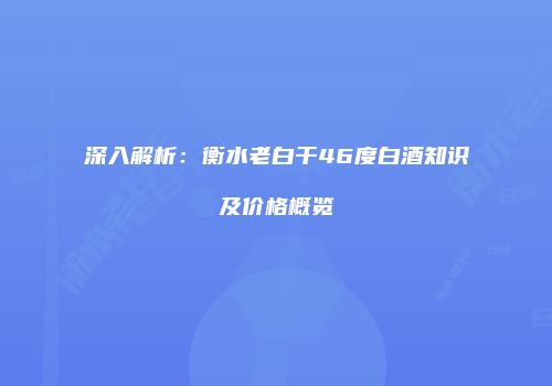 深入解析：衡水老白干46度白酒知识及价格概览