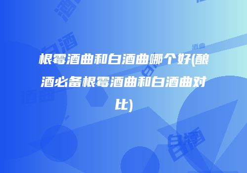 根霉酒曲和白酒曲哪个好(酿酒必备根霉酒曲和白酒曲对比)