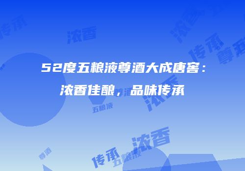 52度五粮液尊酒大成唐窖：浓香佳酿，品味传承