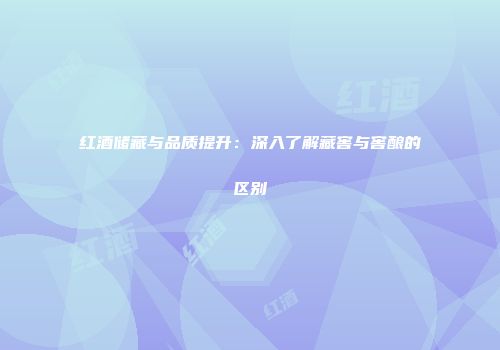 红酒储藏与品质提升：深入了解藏窖与窖酿的区别