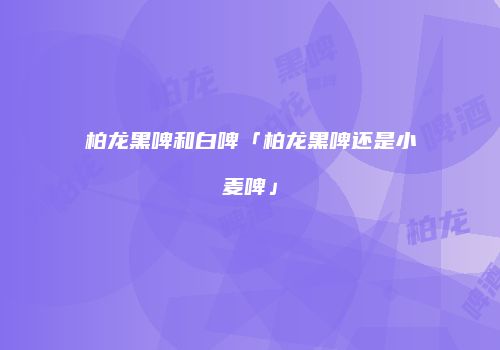 柏龙黑啤和白啤「柏龙黑啤还是小麦啤」