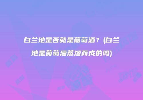 白兰地是否就是葡萄酒？(白兰地是葡萄酒蒸馏而成的吗)