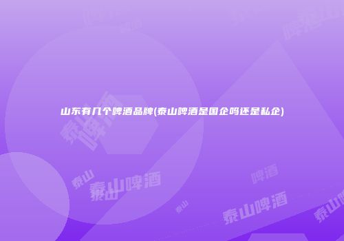 山东有几个啤酒品牌(泰山啤酒是国企吗还是私企)