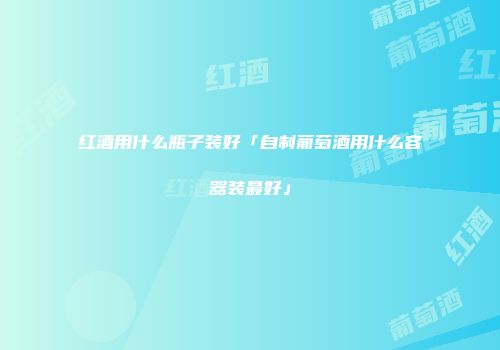 红酒用什么瓶子装好「自制葡萄酒用什么容器装最好」