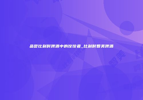品尝比利时啤酒中的佼佼者_比利时智美啤酒