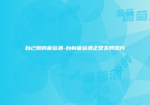 自己酿的葡萄酒-自制葡萄酒正常发酵图片
