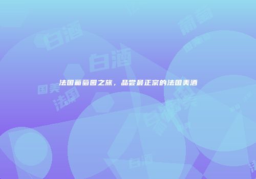 法国葡萄园之旅，品尝最正宗的法国美酒