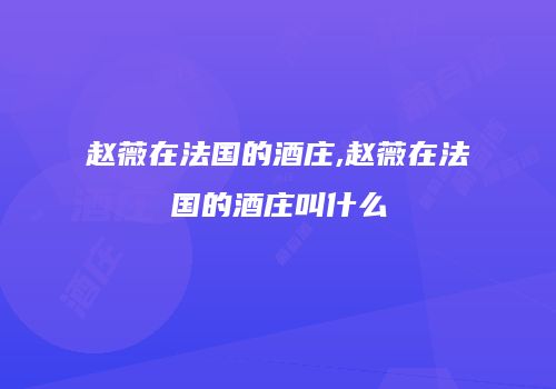赵薇在法国的酒庄,赵薇在法国的酒庄叫什么