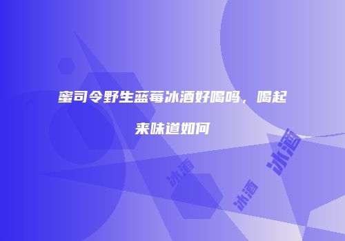 蜜司令野生蓝莓冰酒好喝吗，喝起来味道如何