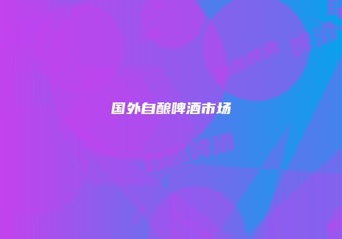 国外自酿啤酒市场