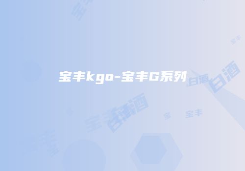 宝丰kgo-宝丰G系列