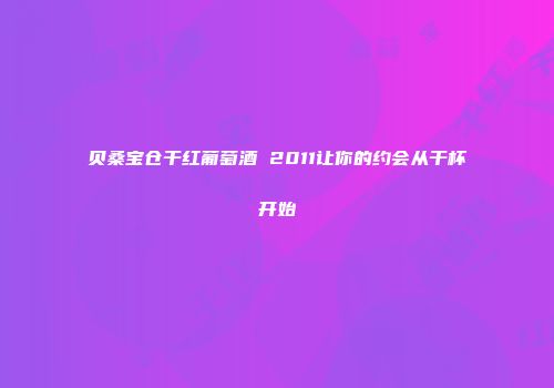 贝桑宝仓干红葡萄酒 2011让你的约会从干杯开始