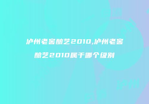 泸州老窖酿艺2010,泸州老窖酿艺2010属于哪个级别