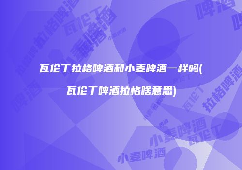 瓦伦丁拉格啤酒和小麦啤酒一样吗(瓦伦丁啤酒拉格啥意思)