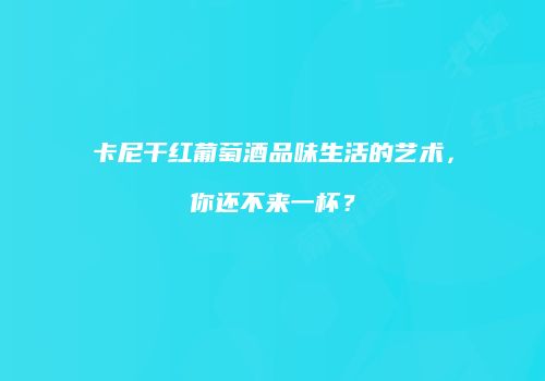 卡尼干红葡萄酒品味生活的艺术，你还不来一杯？