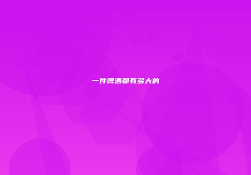 一件啤酒都有多大的