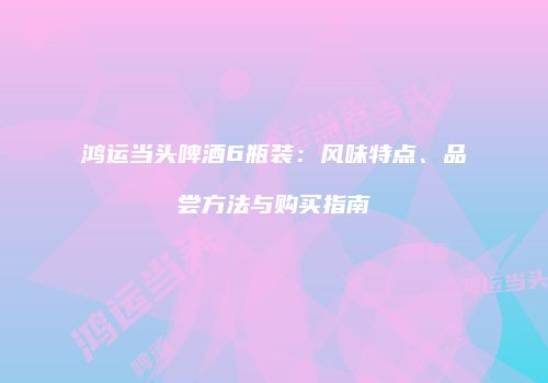 鸿运当头啤酒6瓶装：风味特点、品尝方法与购买指南
