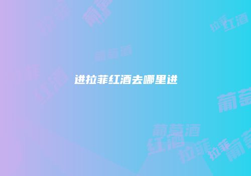 进拉菲红酒去哪里进