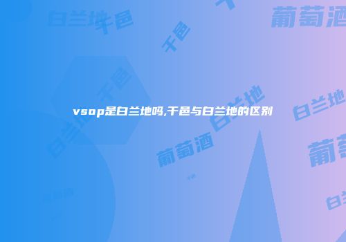 vsop是白兰地吗,干邑与白兰地的区别